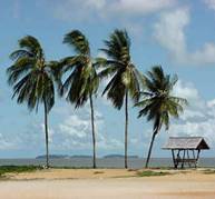 Plage de Kourou