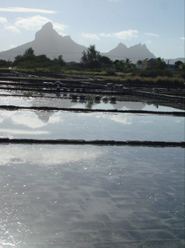 salines